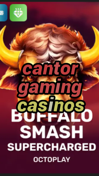 cantor gaming casinos-w4cy2mdjlx2bf.com